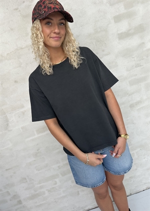 Fizvalley tee Carbone American Vintage 